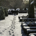 Billede af fodspor i sne på kirkegård